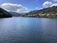 Flusslandschaft 