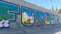 Funchal Schriftzug, Hafen, Marina