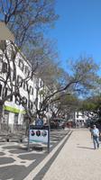 Funchal
