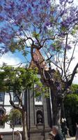 Funchal
