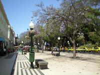 Funchal