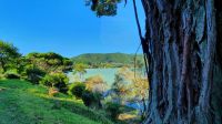 Furnas See