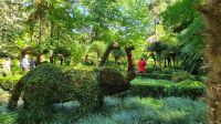 Furnas, Terra Nostra Park, 