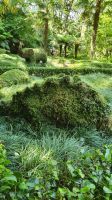 Furnas, Terra Nostra Park, 