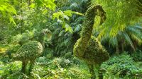 Furnas, Terra Nostra Park, 