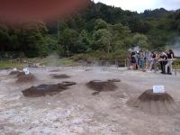 Furnas