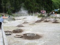 Furnas