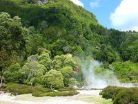Furnas