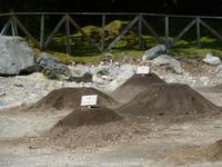 Furnas