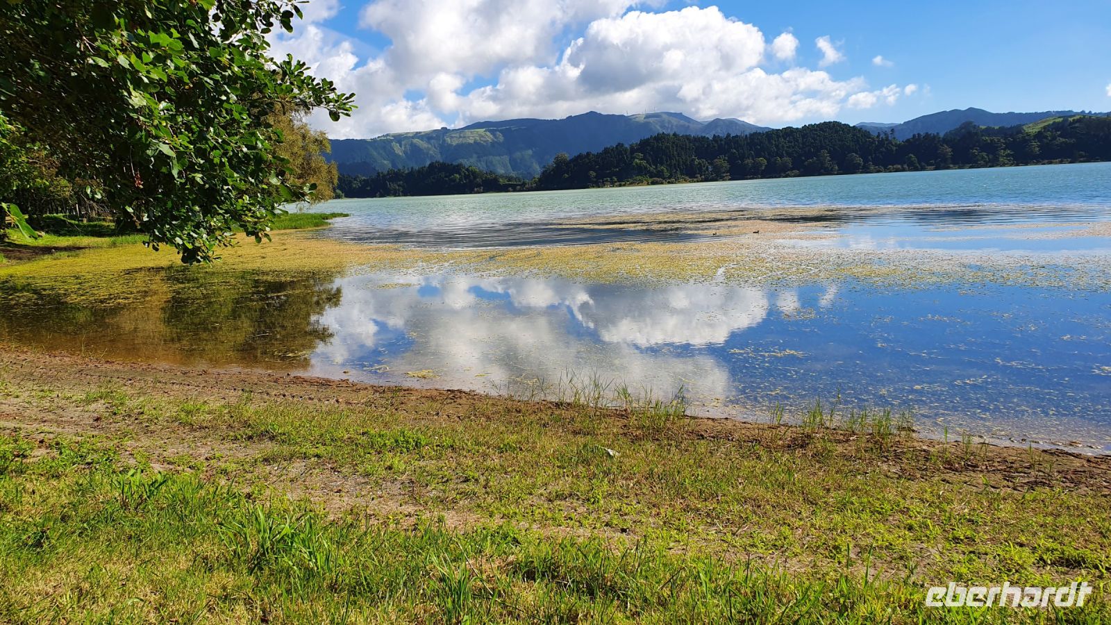 Furnassee