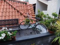 Gartendekoration