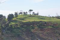 Golfplatz