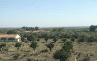 Gutshof bei Beja