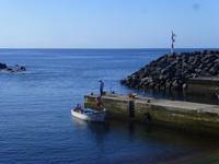 Hafen von Careiros