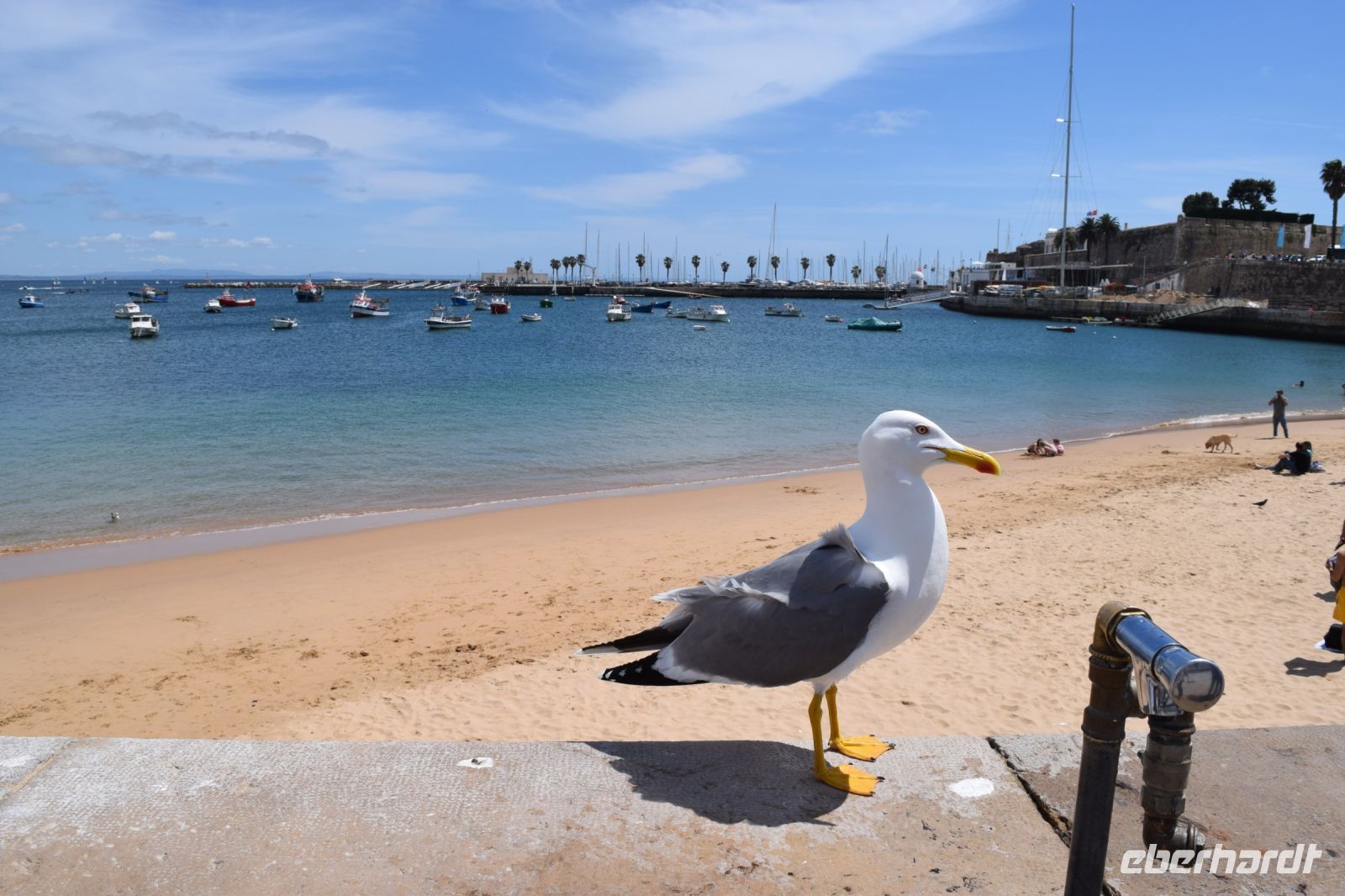 Hafen von Cascais 