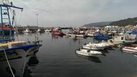 Hafen von Setubal