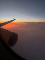 Heimflug (2)
