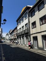 Horta (3)