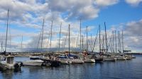 Horta, Seglerhafen