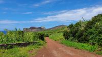 INsel Faial, Küstenwanderung von Capelinhos nach Varadouro