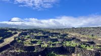 Ilha do Pico, Madalena, Azores, Portugal