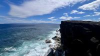 Ilha do Pico, São Roque Do Pico, Azores, Portugal