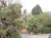 Im Kräutergarten