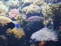 Im Ozeanarium