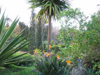Im Palheiro Garden