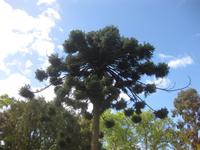 Im Palheiro Gardens