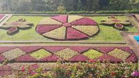 Im botanischen Garten