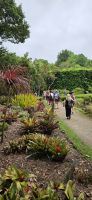 Insel >Sao Miguel, Terra Nostra Park