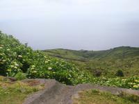 Insel Corvo