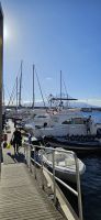 Insel Faial, Horta, unser Boot
