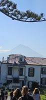 Insel Faial, Stadtrundgang Horta