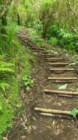 Insel Faial, Vulcanwanderung