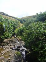 Insel Flores
