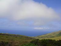 Insel Flores
