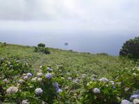Insel Flores
