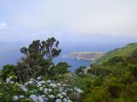 Insel Flores