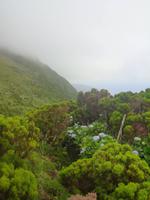 Insel Flores