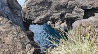 Insel Pico, Cacherro