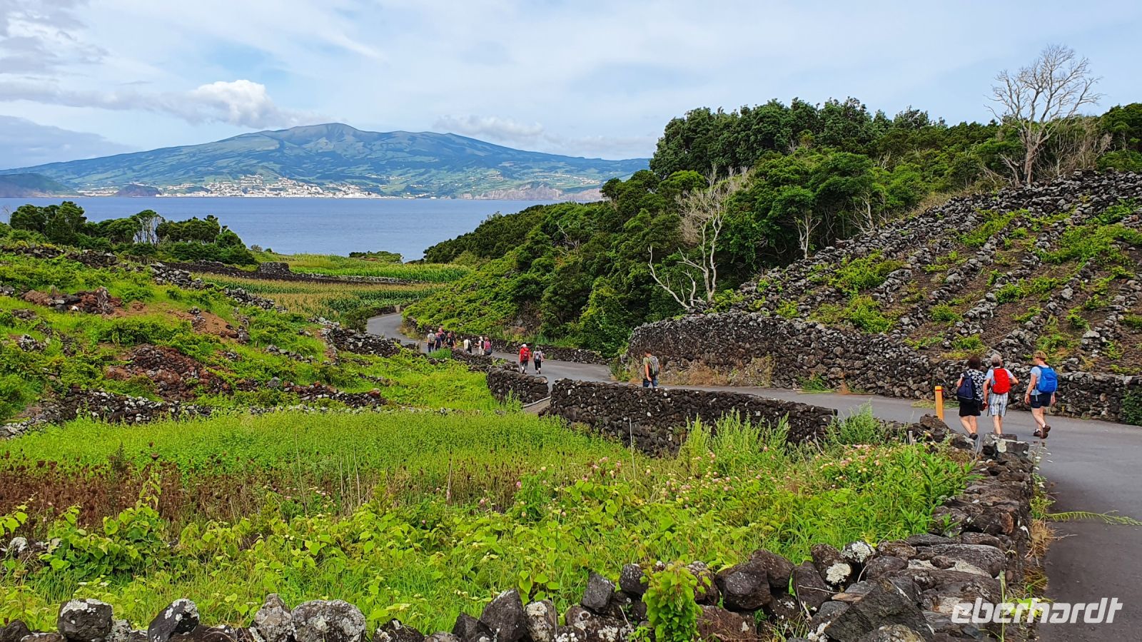 Insel Pico, Wanderung im Weinanbaugebiet