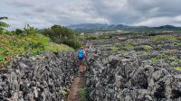 Insel Pico, Wanderung im Weinanbaugebiet