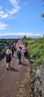 Insel Pico, Wanderung in den Weingärten
