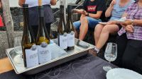 Insel Pico, Weinprobe in der Adega Buraca