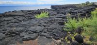 Insel Pico, alte Wagenspuren im Lava Gestein