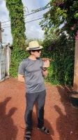 Insel Sao Miguel, Ananasplantage, Jose erläutert wie aus der Wurzel neue Pflanzen spriessen