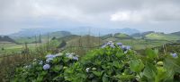 Insel Sao Miguel, Blick zur Nordküste