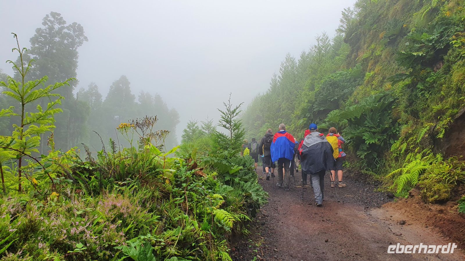 Insel Sao Miguel, Wanderung Sete Cidades bei echtem Azorenwetter